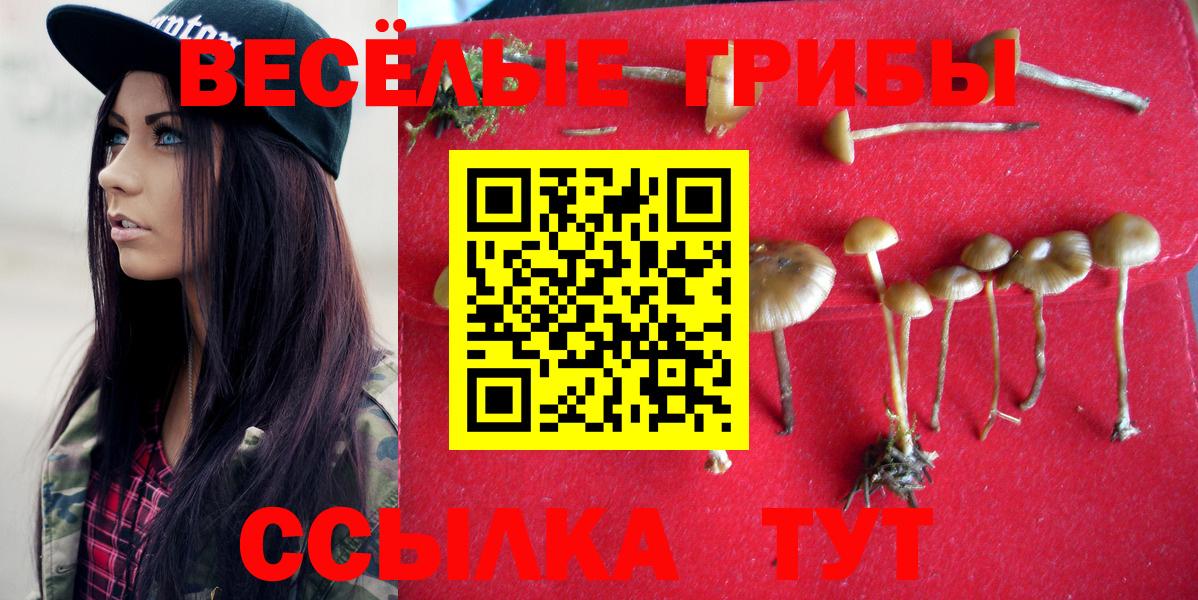 Галлюциногенные грибы Psilocybine cubensis Лангепас