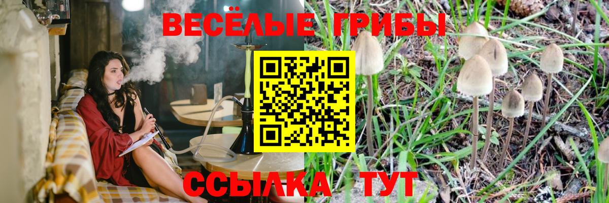 Лангепас  Галлюциногенные грибы Magic Shrooms  Вход с VPN 